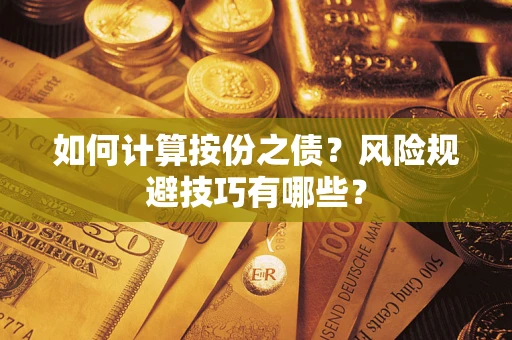 北京如何计算按份之债？风险规避技巧有哪些？