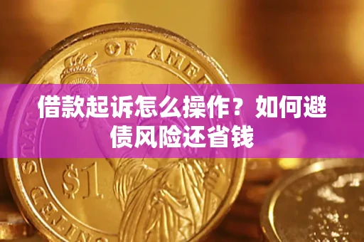 北京借款起诉怎么操作？如何避债风险还省钱