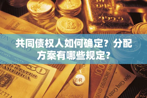 北京共同债权人如何确定？分配方案有哪些规定？